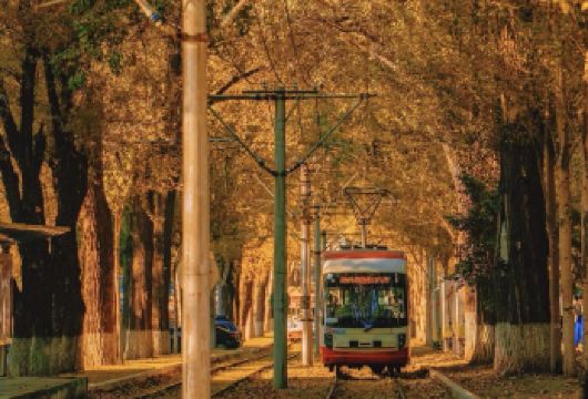 长春出发南湖公园+伪满皇宫博物馆+长春旧址博物馆包车一日活动【文史+自然双体验：串联伪满皇宫殖民历史印记、长影沉浸式光影记忆与南湖公园城市绿肺风光】