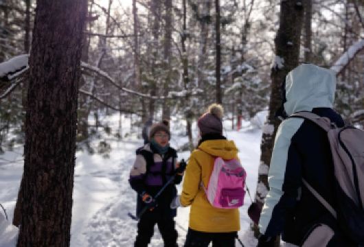 北国雪山亲子徒步一日营|含雪地野炊【熟悉当地地形与天气的资深向导领队，配备基础安全装备与应急预案，让家长安心，孩子尽兴】