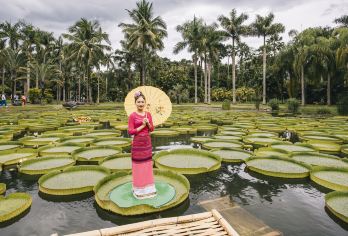 植物园+傣族园一日游【植物王国+品质纯玩团+优质导游讲解】【[品质旅游]全国服务大奖-品质认证-专业一手地接-好评优选-无购物隐形消费】