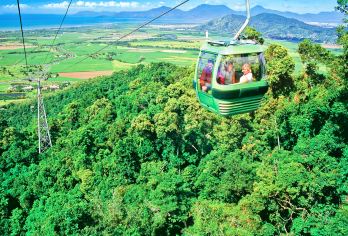 团后送机·凯恩斯库兰达热带雨林自然公园一日游【[澳洲当地自营 明星服务商QUOKKA 中文服务]】