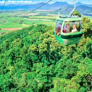 萤光虫雨林/团后送机·凯恩斯库兰达热带雨林自然公园一日游