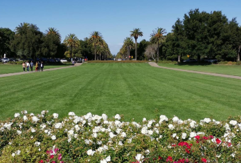 美国旧金山斯坦福大学+胡佛塔+谷歌总部+硅谷一日游【10小时包车出行·可协商合理安排时间】