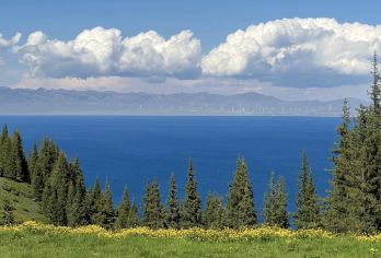 新疆伊犁赛里木湖+口岸一日游【含门区车进赛湖】【当地发车社，品质保障！可选小团景点直达，深度游玩，慢节奏享受尽享畅玩。】