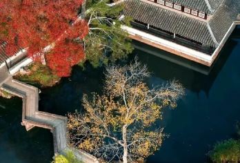 拙政园门票+平江路摇橹船+评弹聆赏含茶点+平江路老街自由行【拙政园被认为是江南古典园林的代表作和中国园林艺术的珍贵遗产。】