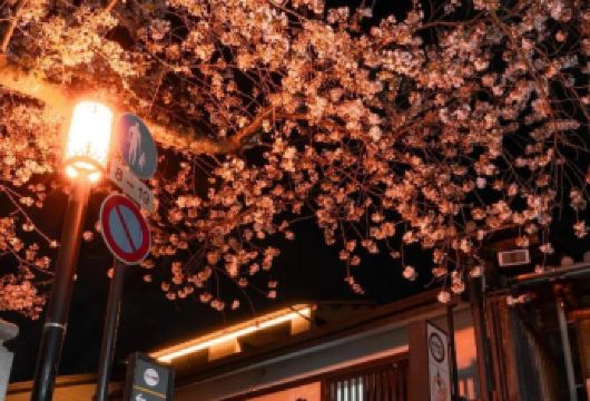 日本京都清水寺+八坂神社+奈良公园一日游【不容错过的京都名胜-中文专车-行程可调/自由-可定制多日游】