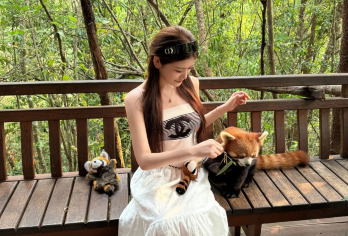 普洱茶马古道+太阳河森林公园一日游【精品6人团+纯玩】【[省时间]：一次行程可游玩两个普洱当地特色景点；串联自然与人文双重体验】