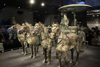 陕西兵马俑博物馆半日游【精品小团+深度讲解】【[品质保障]优选商品，品质拒绝购物 、无自费】