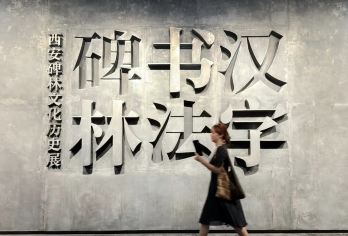 西安碑林博物馆门票/15人小团/人工讲解/含降噪耳机【趣味深度讲解.了解上下930年文化遗产】