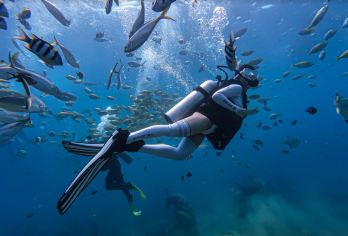 深圳南澳快艇出海深潜体验+海上观光+打卡神秘海底世界+含装备【海底20分钟沉浸式体验！看海底彩色的鱼儿，探索神秘海底；】