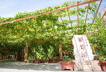 坎儿井+葡萄沟+火焰山【吐鲁番动车经典一日游2-6人小团】【推荐理由一:真纯玩、真品质、拒绝购物店】