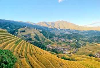 【8人小团｜私家团】桂林龙脊梯田-金坑梯田+黄洛红瑶寨一日游【[便捷方式]真小团不超8人，小众出行性价比高。[私家团]一单一团，时间景点可按需调整，本地玩家带你嗨】