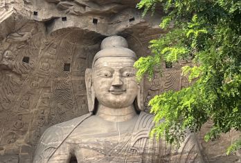 【高品质纯玩团※含特色午餐】云冈3H+悬空寺登临+木塔一日游【[产品特色]大巴车全新升级：2+1陆地头等舱豪华旅游巴士，提供更宽敞舒适的乘坐体验。】