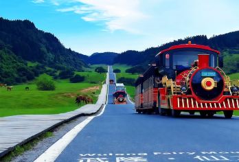 【8点出发·8人团】武隆天生三桥+仙女山森林公园+乌江一日游【8点出发，8人商务小团，睡醒出发，直达景区检票口，省去中转换乘耽搁时间，充足时间游览景区；】