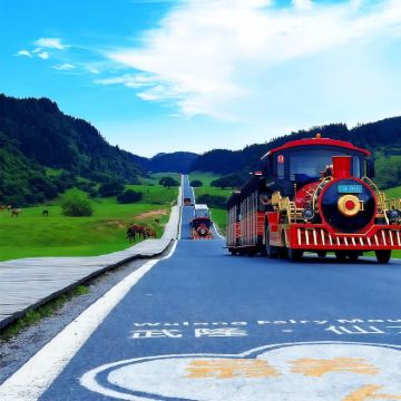 【2-8人团】武隆天生三桥+仙女山森林公园+乌江画廊一日游