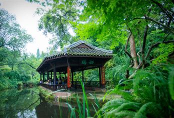 【万卷说·文史讲师】三苏祠博物馆 人工讲解 散客拼团不含票【[签约讲师]持有国家导游证\讲解证，一线工作经验10年以上，有责任心，能根据听众的兴趣，灵活讲解。】