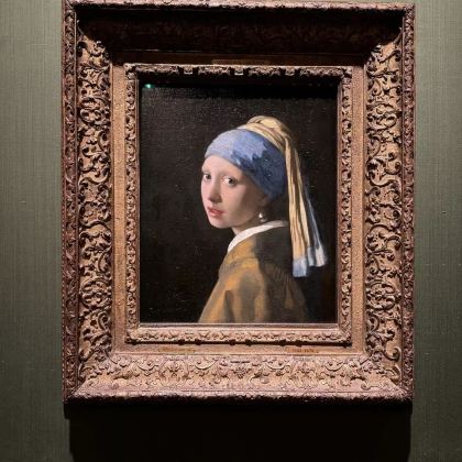 荷兰阿姆斯特丹海牙莫瑞泰斯美术馆-席凡宁根海滩-洛曼一日游