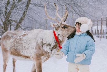【亲子带娃】寻麋鹿+雪地摩托+马拉爬犁｜雪岭包车1日游【亲子专线！适合娃的玩雪项目都有了：乘雪地摩托，马拉爬犁，喂驯鹿，滑雪，走进雪的童话世界。】