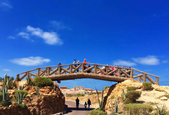 【开罗-亚历山大】蒙塔扎宫+萨达特清真寺+斯坦利桥+海滨大道【中文定制包车，沟通无障碍，安全有保障】