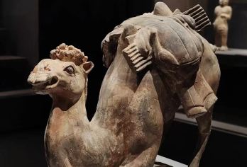 北朝考古博物馆+磁州窑博物馆+邺城考古博物馆 拼车游 【含一晚住宿（4钻酒店）含自助早餐】