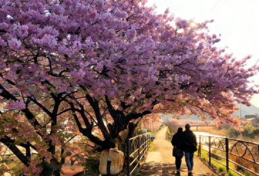 【河津樱花】伊豆一日游含观海列车票|城崎海岸|酒店可上门接送【[精品小团]铁发团，1人即可成行，可选酒店上门接送，中/英/日文司导，无需担心语言不】
