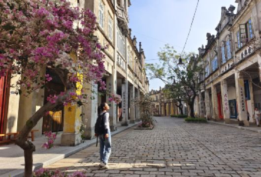 开平碉楼+赤坎古镇一日游【中西合璧骑楼建筑群，体验侨乡风情】
