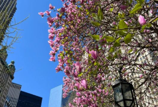 美国私享行/【纽约市区】4-5个地标深度游玩/定制行程【专业行程定制，精选热门景点，高效游玩不走回头路，贴心服务保障，轻松】