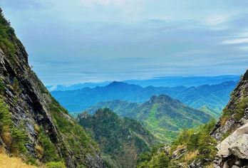 【包车游】朱雀国家森林公园一日游【可选车型5/7/9座车】【沟道开阔平坦，山环水绕，森林茂密，为游人休闲避暑之胜地】