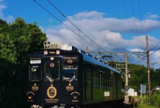 日本大阪+和歌山+三段壁+圆月岛一日游/行程可调-可定制多日【包车一日游，解锁旅行新方式！独立车辆配备经验丰富的老司机，为您量身打造专属行程。】