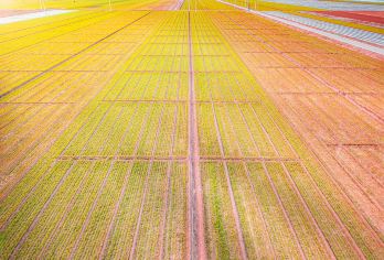 私家小团，司兼导||灯楼角-南极村-合水线-菠萝的海包车一天【登大陆最南端灯塔俯瞰双海，探访珊瑚主题艺术区，打卡海边秋千、文创店与珊瑚墙绘】