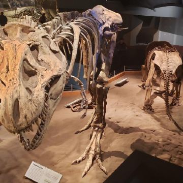 加拿大德拉姆勒恐龙峡谷胡杜一日游【英文团】