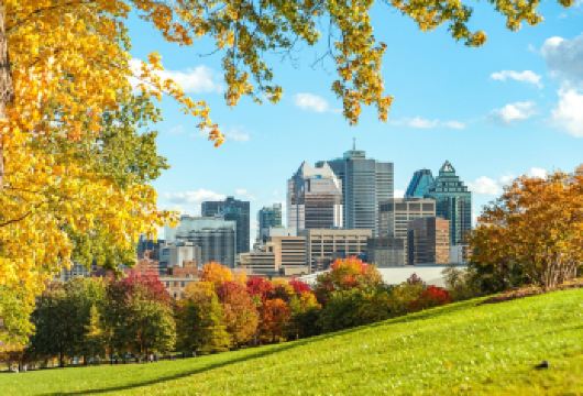 蒙特利尔市区一日游【省时省心+行程灵活+VIP包车一站式服务+中文司导】