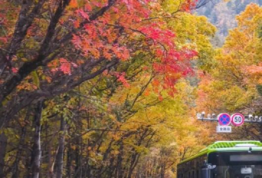 九寨沟-黄龙九寨站--直通车-送站服务【车型：2+1保姆大巴车（33座或36座）】