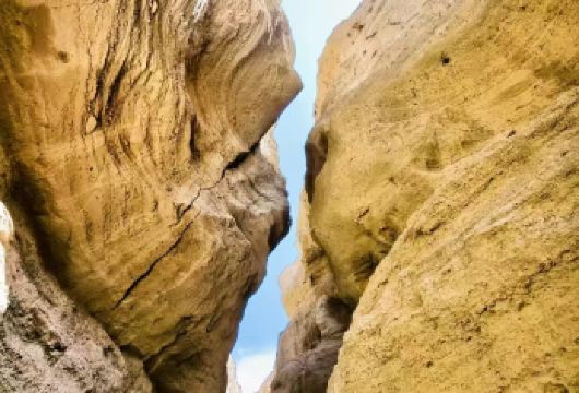 库尔勒罗布泊大裂谷+塔克拉玛干沙漠+罗布人村寨+神女湖一日游【[品质保障]景区游玩时间充足，无套路】