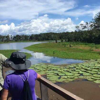 巴西马瑙斯 亚马逊河之旅 丛林探险+两河交汇+粉红海豚