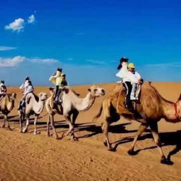 呼和浩特+响沙湾一日游【含响沙湾门票+往返索道+往返车费】