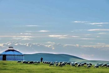 呼和浩特+希拉穆仁草原一日游【独立包车丨你的草原私属旅程】【[贴心赠送]丨免费赠送哈达丨矿泉水无限畅饮丨手机充电服务丨部分团型二环内指定地点免费接丨】