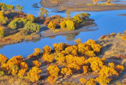 新疆塔塔秘境-罗布湖风景游览区一日游（上门接送+多套餐可选）【小车团/包车库尔勒市区内，机场、火车站可接；大团/跟团需前往巴州宾馆集合（每天至少3人起发）】