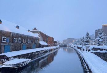 日本北海道小樽一日游｜天狗山｜札幌往返｜寻找《情书》中的美景【尊享一对一高端行程定制，多日豪华包车专属礼遇，专业旅行顾问24小时恭候垂询。】