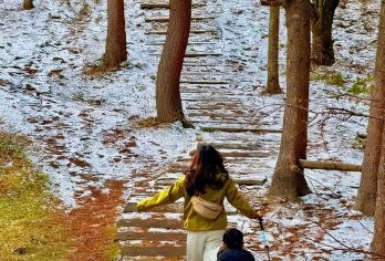 卧龙甘海子大团一日游 轻徒步丨草甸雪景牛羊【纯玩无购物+无隐形消费】