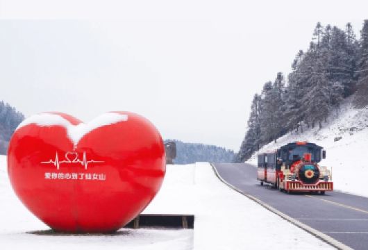 武隆仙女山一日游|送暖宝宝手套•定点接• 纯玩【[安心出游]直达景区，主城多区重点区域定点接驳 ，送暖宝宝+手套。】