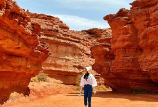 大碱湖+鸡鹿塞+阿贵庙+西部梦幻峡谷1日游【可定制包车】【可选2-6人精致小拼团，或私家独立包车游 (*拼团含首道门票，包车不含门票）】