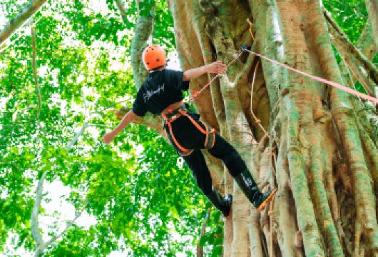 基诺山巴朵村雨林徒步一日游【高端线路+土著向导+项目全含】【[优选线路向导]优选基诺山巴朵村徒步线路，公司深度开发，优秀基诺山优质向导讲解带队！】
