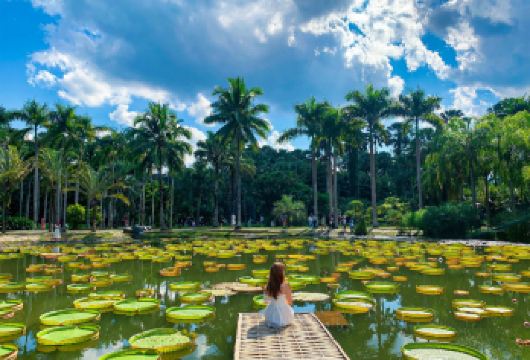 西双版纳中科院植物园+西双版纳傣族园一日游包车纯玩【[透明的价格体系，不花冤枉钱]费用高低取决于您对品质的要求，透明报价，明白消费】
