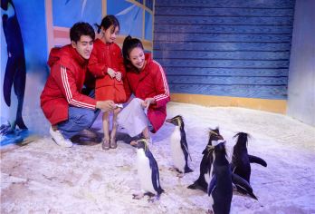 乘船+栈桥+极地海洋公园+八大关+五四广场+小麦岛 6人团【[产品特色]精致6人小团 一价全含 无自费无购物 更安心】