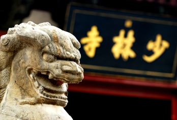 少林寺一日游【纯玩无购物|更早回市区|可送高铁/洛阳站附近】【[安心出行]优秀持证导游全程陪同，趣味讲解，无任何形式购物；】