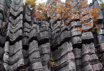 梭布垭石林一日游（2人可成团、不早起、含景交）奔驰保姆车【[VIP]专车上门接送，保姆车，享受出游】