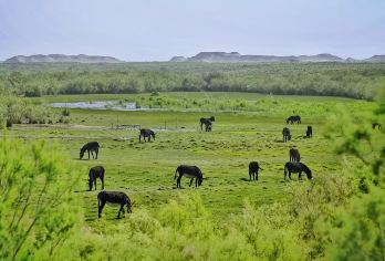 敦煌玉门关+阳关一日游【未开发雅丹+盐湖湿地+丝绸古道穿越】【[历史古迹]前往未开发区域，烽火台、盐湖湿地、雅丹群这些在纪录片出现的情景，我们这次亲身前往。】