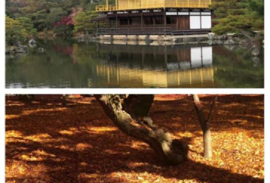 日本京都-琉璃光院-三千院-贵船神社-岚山-红叶巡礼/红叶季【专业行程定制，精选热门景点，高效游玩不走回头路，贴心服务保障，轻松】