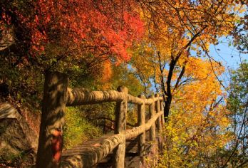 【秦岭赏红叶】西安太平国家森林公园一日游【[放心出游]几站固定点上车，出行无忧】