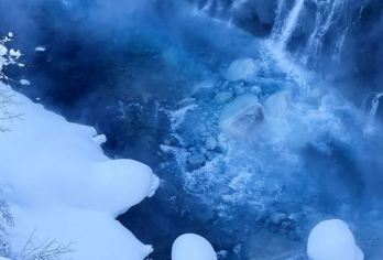 日本北海道+旭山+森林精灵阳台一日游/行程可调-可定制多日游【专属客服和本地中文司机，一家一团包车】